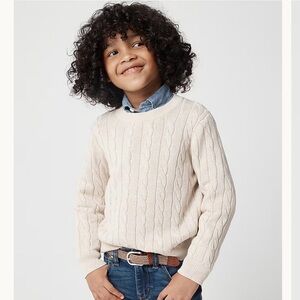 Boys Crewcuts Cable Knit Sweater - Perfect Holiday Sweater